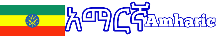 Amhariccover_es_760-140cor